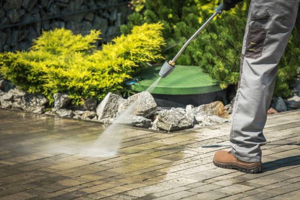 Best Gutter Cleaning and Brightening in Wylie, TX